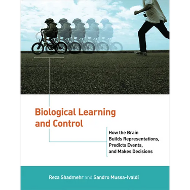 Biological Learning and Control: How the Brain Builds Representations, Predicts Events, and Makes Decisions