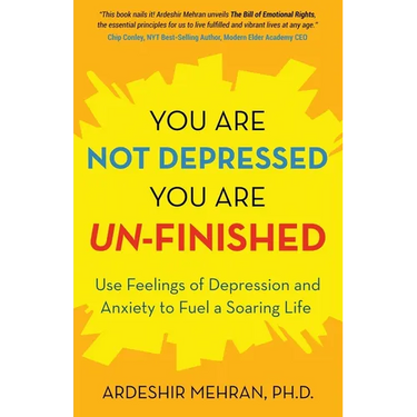 You Are Not Depressed. You Are Un-Finished.: Use Feelings of Depression and Anxiety to Fuel a Soaring Life.