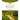 Celebrate Recovery Volumes 1-4 Participant's Guide Updated Edition, the Journey Begins: A Program for Implementing a Christ-Centered Recovery Ministry