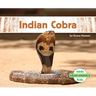 Indian Cobra