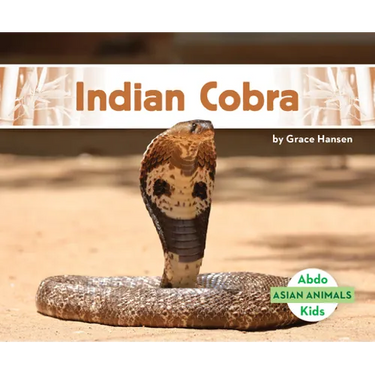 Indian Cobra
