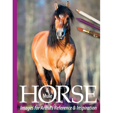 Horse and Mule Images for Artist's Reference and Inspiration