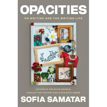 Opacities: On Writing and the Writing Life