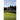 Maine Golf Tales