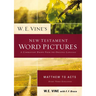 W. E. Vine's New Testament Word Pictures: Matthew to Acts: A Commentary Drawn from the Original Languages