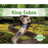 King Cobra