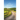 The Path Forward