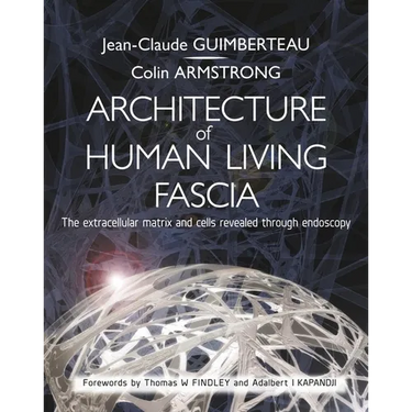 Architecture of Human Living Fascia: The Extracellular Matrix and Cells Revealed Through Endoscopy