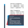 Deep Learning, an introduction with two nice short examples