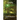 Seeing Green