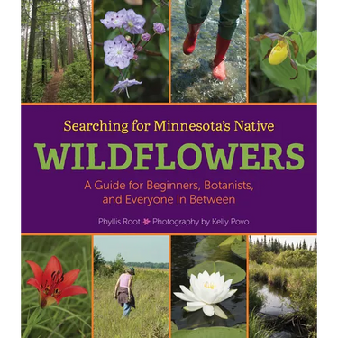 Searching for Minnesota's Native Wildflowers: A Guide for Beginners, Botanists, and Everyone in Between