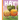 Hay
