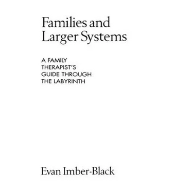 Families and Larger Systems: A Family Therapist's Guide Through the Labyrinth