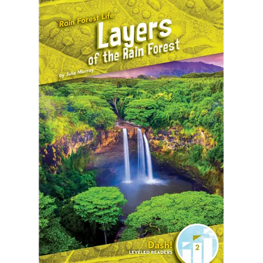 Layers of the Rain Forest