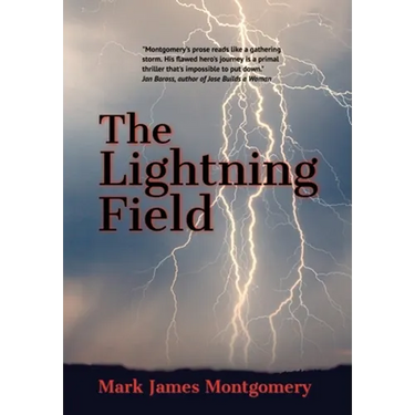 The Lightning Field