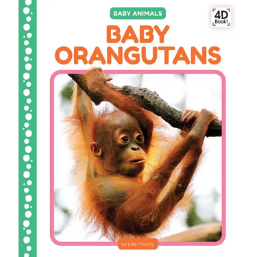 Baby Orangutans