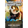 What Color Is Your Soul?: Healing The Illusion Of Our Separateness