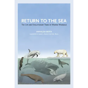 Return to the Sea: The Life and Evolutionary Times of Marine Mammals
