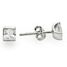 0W388 - Rhodium 925 Sterling Silver Earrings with AAA Grade CZ in Clear