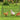 Chicken Tunnels, 236.2 x 157.5 x 24.2 inch(LxWxH) Chicken Tunnels for Yard, Portable Chicken Tunnels for Outside with Corner Frames, 2 Sets, Suitable for Chickens, Ducks, Rabbits