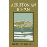 Adrift on an Ice-Pan