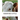 Hereford Cattle: As imported by C.S. Cross