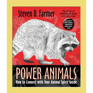 Power Animals: How to Connect with Your Animal Spirit Guide