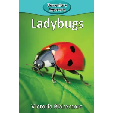Ladybugs
