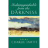 Indistinguishable from the Darkness: Poems