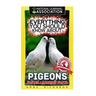 Everything You Should Know About: PIGEONS Faster Learning Facts