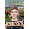 A Lancaster Amish School for Jacob