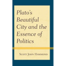 Plato's Beautiful City and the Essence of Politics