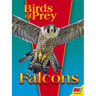 Falcons