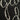 d16668e0-74fc-4b99-b907-e30f14142e79-Max