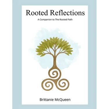 Rooted Reflections