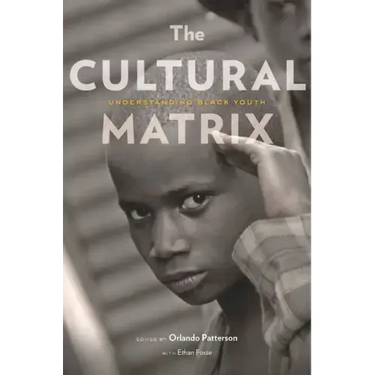 The Cultural Matrix: Understanding Black Youth