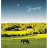 GUEST BOOK for Guest House, Airbnb, Bed & Breakfast, Vacation Home, Retreat Centre: HARDCOVER Visitors Book, Guest Comments Book, Vacation Home Guest
