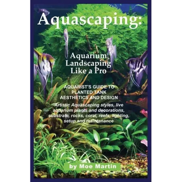 Aquascaping: Aquarium Landscaping Like a Pro