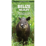 Belize Wildlife: A Folding Pocket Guide to Familiar Animals