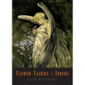 Flower Fairies of the Spring: 24 Full Color Illustrations
