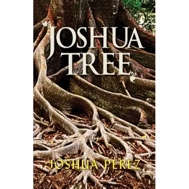 Joshua Tree