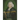 Through the Year with Charles Wesley: 365 Daily Readings from Charles Wesley