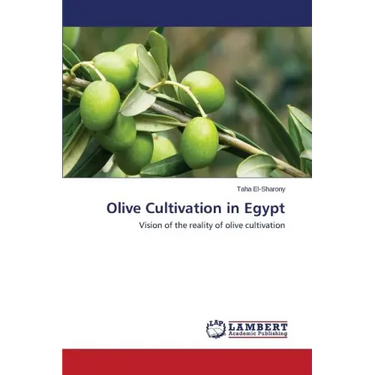 Olive Cultivation in Egypt