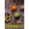 Mindsets