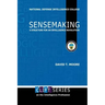 Sensemaking: A Structure for an Intelligence Revolution
