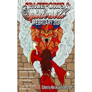 Spaceports & Spidersilk February 2021
