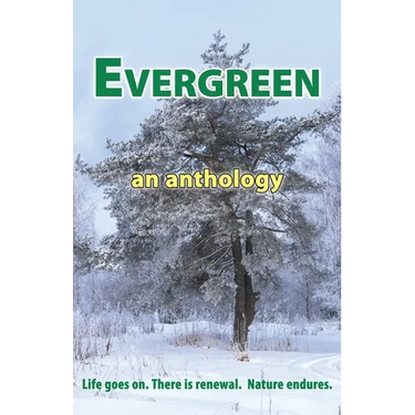 Evergreen