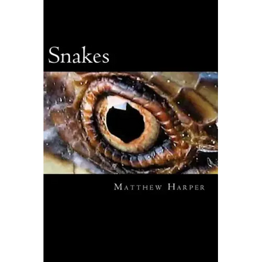 Snakes: A Fascinating Book Containing Snake Facts, Trivia, Images & Memory Recall Quiz: Suitable for Adults & Children