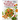College Vegetarian Cookbook: Quick Plant-Based Recipes Every College Student Will Love. Delicious and Healthy Meals for Busy People on a Budget (Ve