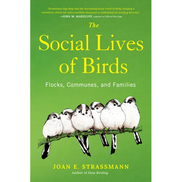 The Social Lives of Birds: Flocks, Communes, and Families